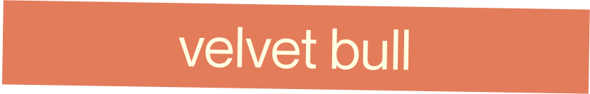velvet bull